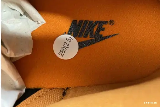 DA1469-001 Low (2020) Dunk Ceramic Nike 0623